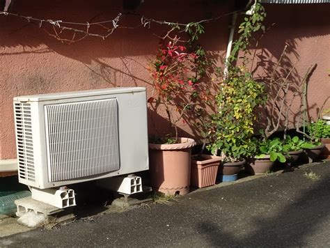 室外機 植物 距離|室外機前に植えられるものは